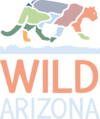 Wild Arizona