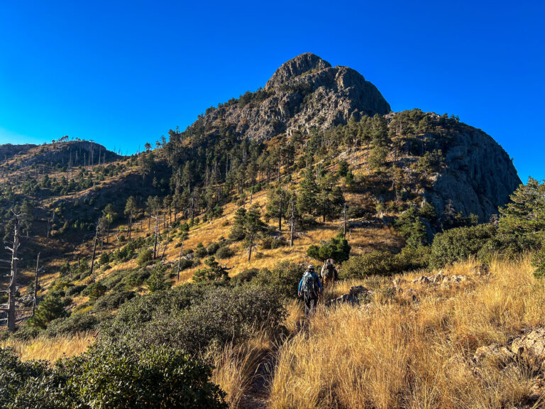 wild stew field crew: Brushing Old Baldy