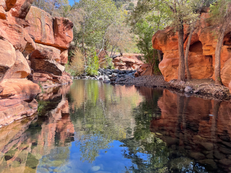 wild stew: Red Rock Ranger District Wilderness Ranger