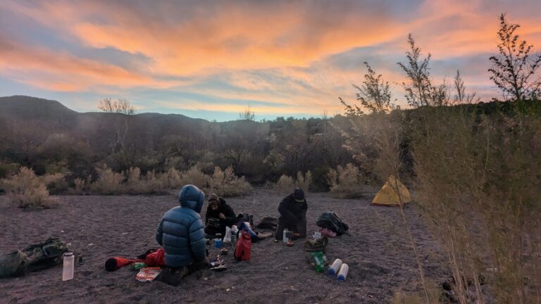 wild stew field crew: The Fossil Creek Tamarisk Massacre!